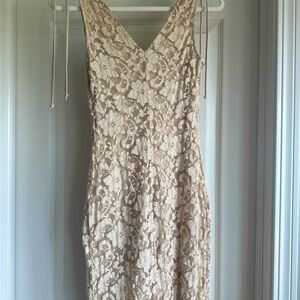 Stretch lace bodycon dress